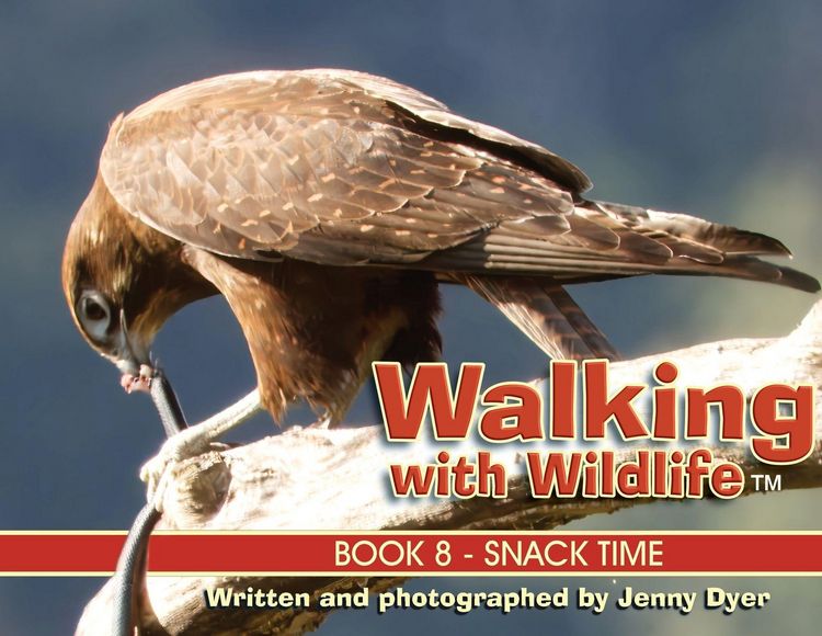 Produktbild: Walking with Wildlife - Book 8