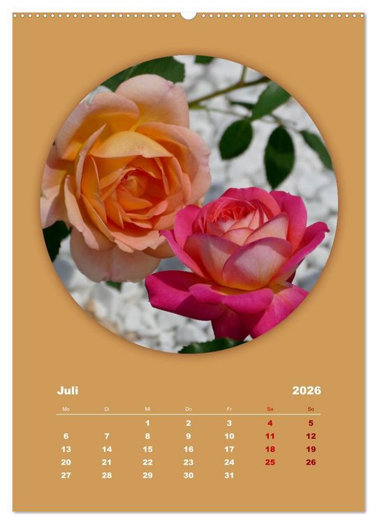 Produktbild: Rundherum Natur (hochwertiger Premium Wandkalender 2026 DIN A2 hoch), Kunstdruck in Hochglanz