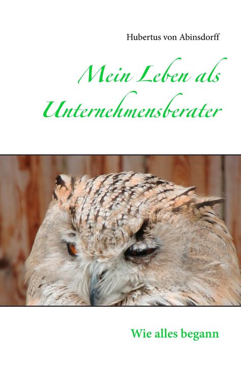 Produktbild: Mein Leben als Unternehmensberater