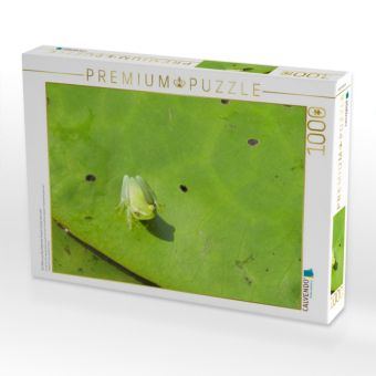 Produktbild: CALVENDO Puzzle Ein Motiv aus dem Kalender Frosch m&uuml;sste man sein! | 1000 Teile Lege-Gr&ouml;&szlig;e 64x48cm Foto-Puzzle f&uuml;r gl&uuml;ckliche Stunden