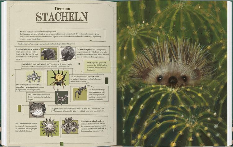 Produktbild: Tierisch sch&ouml;n