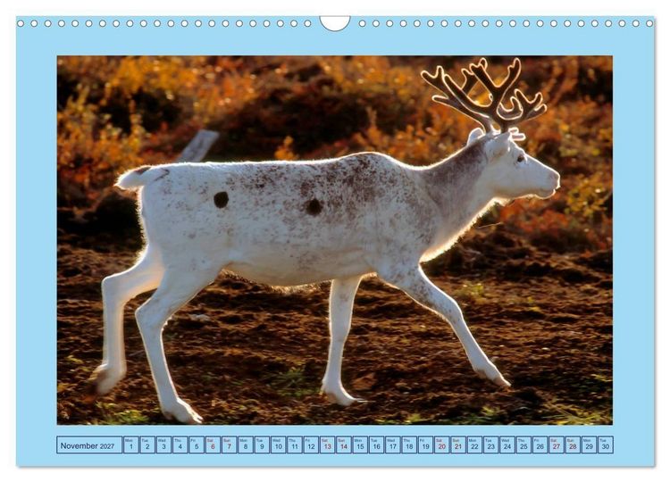 Produktbild: Fascinating Finland (Wall Calendar 2027 DIN A3 landscape), CALVENDO 12 Month Wall Calendar
