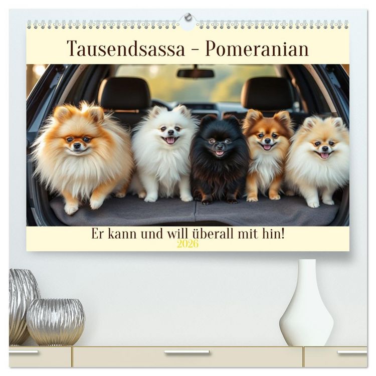 Produktbild: Tausendsassa - Pomeranian (hochwertiger Premium Wandkalender 2026 DIN A2 quer), Kunstdruck in Hochglanz