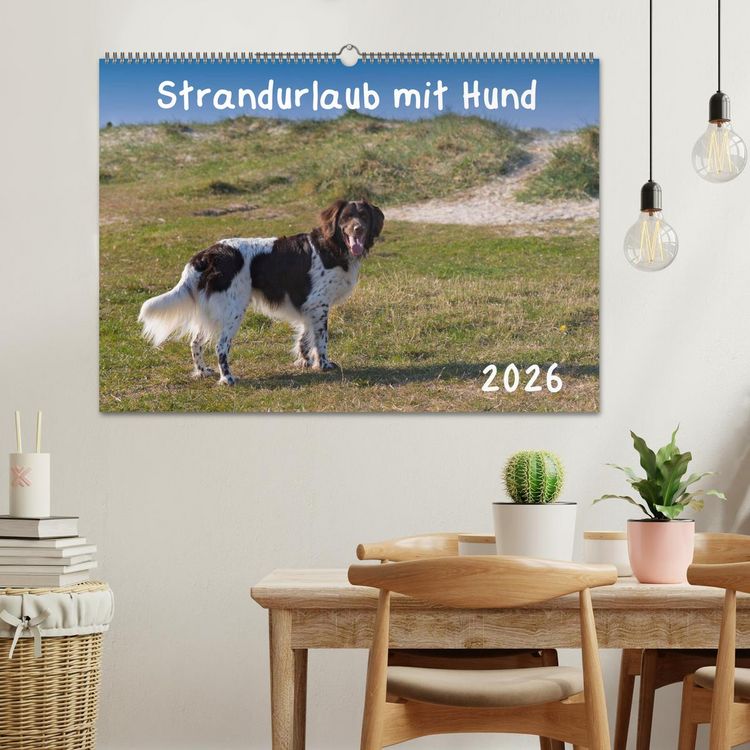Produktbild: Strandurlaub mit Hund (Wandkalender 2026 DIN A2 quer), CALVENDO Monatskalender
