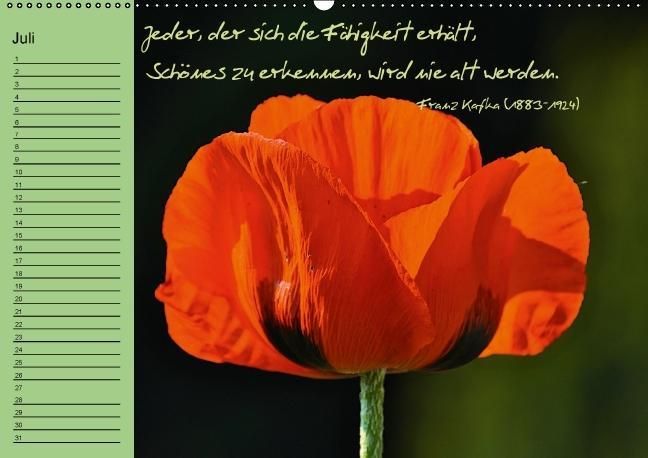 Produktbild: Vergiss mein nicht Geburtstagskalender (Wandkalender immerw&auml;hrend DIN A2 quer)