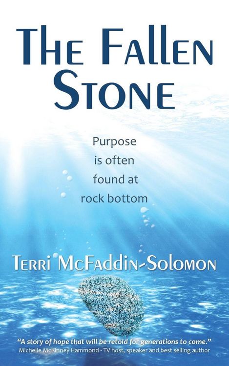Produktbild: The Fallen Stone