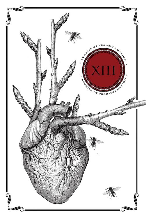 Produktbild: Thirteen: Stories of Transformation