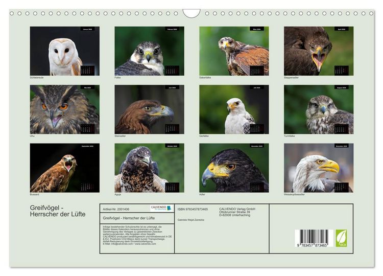 Produktbild: Greifv&ouml;gel - Herrscher der L&uuml;fte (Wandkalender 2026 DIN A3 quer), CALVENDO Monatskalender