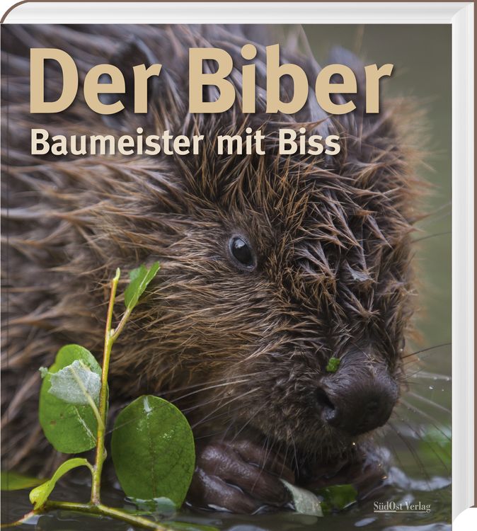 Produktbild: Der Biber