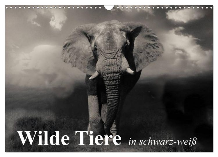 Produktbild: Wilde Tiere in schwarz-wei&szlig; (Wandkalender 2026 DIN A3 quer), CALVENDO Monatskalender
