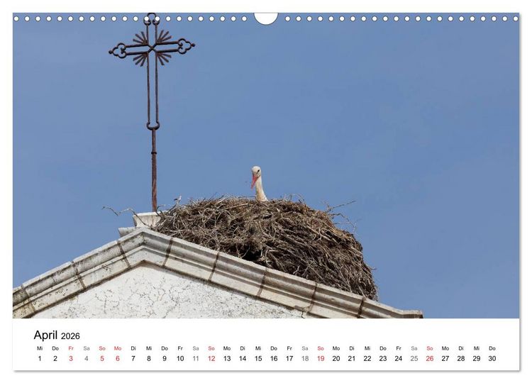 Produktbild: Algarve von Sagres bis Tavira (Wandkalender 2026 DIN A3 quer), CALVENDO Monatskalender