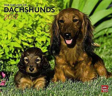 Produktbild: For the Love of Dachshunds 2012 Calendar