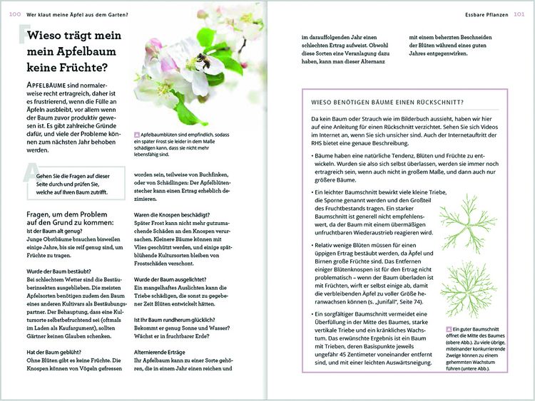 Produktbild: Wer klaut meine &Auml;pfel aus dem Garten