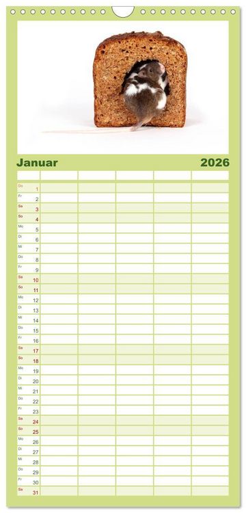 Produktbild: Familienplaner 2026 - S&uuml;&szlig;e M&auml;use und Coole Ratten mit 5 Spalten (Wandkalender, 21 x 45 cm) CALVENDO