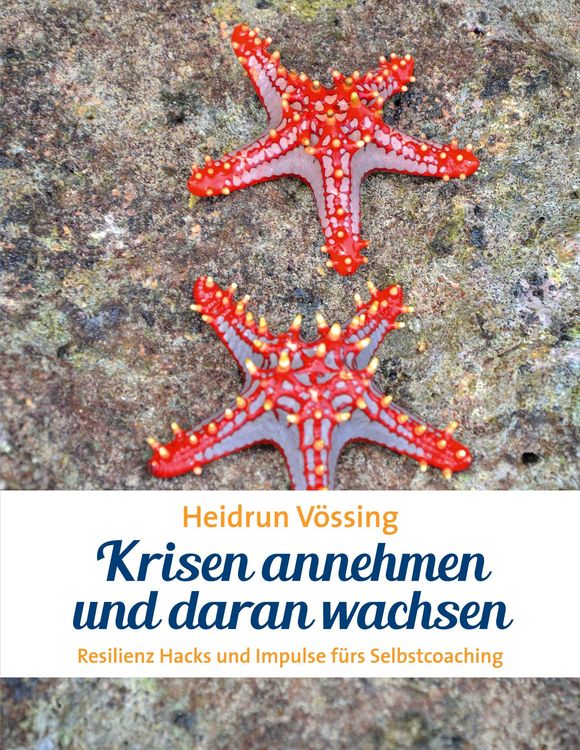 Produktbild: Krisen annehmen und daran wachsen