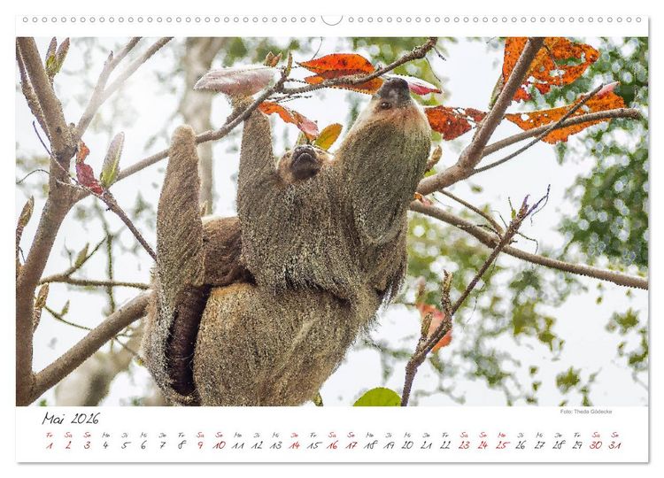 Produktbild: Natur pur, Costa Rica (hochwertiger Premium Wandkalender 2026 DIN A2 quer), Kunstdruck in Hochglanz