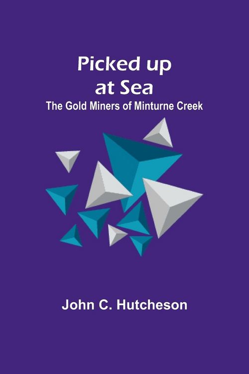 Produktbild: Picked up at Sea; The Gold Miners of Minturne Creek
