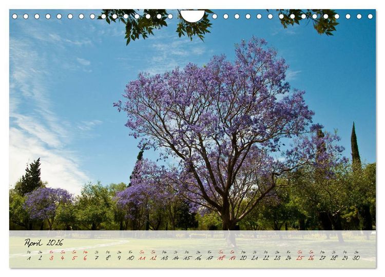 Produktbild: Mexiko - Bunte Vielfalt in Stadt und Land (Wandkalender 2026 DIN A4 quer), CALVENDO Monatskalender