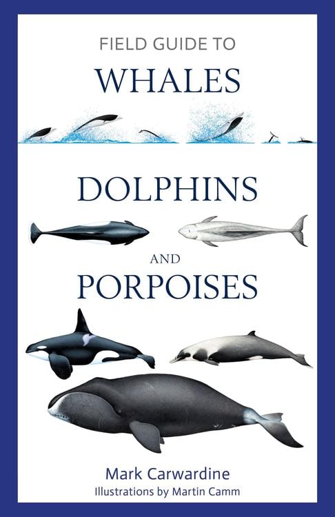 Produktbild: Field Guide to Whales, Dolphins and Porpoises