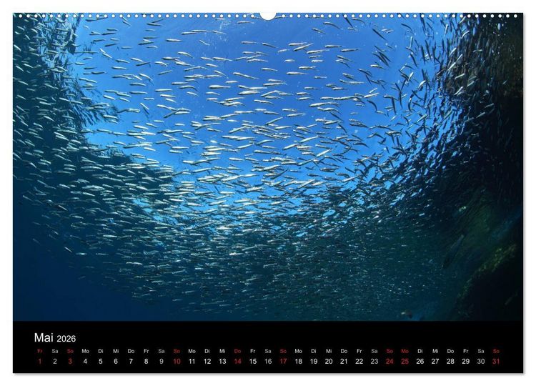 Produktbild: Bilder der Tiefe 2026 (hochwertiger Premium Wandkalender 2026 DIN A2 quer), Kunstdruck in Hochglanz
