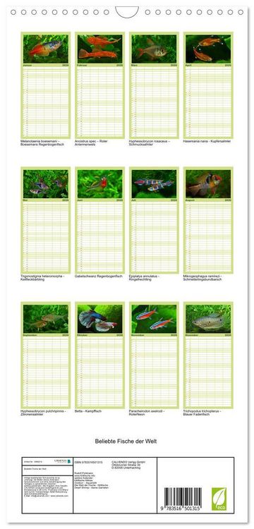 Produktbild: Familienplaner 2026 - Beliebte Fische der Welt mit 5 Spalten (Wandkalender, 21 x 45 cm) CALVENDO