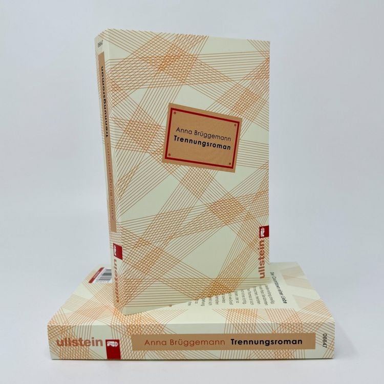 Produktbild: Trennungsroman
