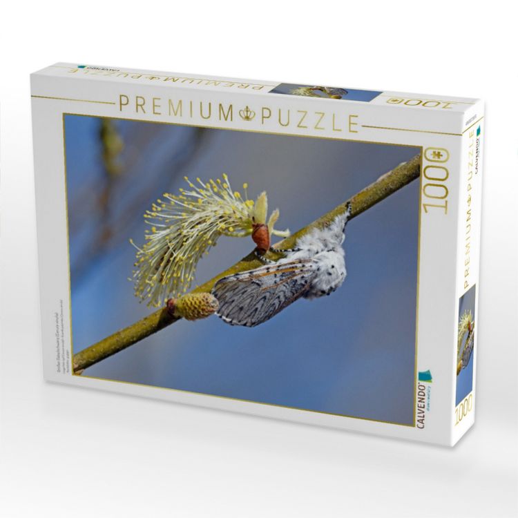 Produktbild: CALVENDO Puzzle Gro&szlig;er Gabelschwanz (Cerura vinula) | 1000 Teile Lege-Gr&ouml;&szlig;e 64x48cm Foto-Puzzle f&uuml;r gl&uuml;ckliche Stunden