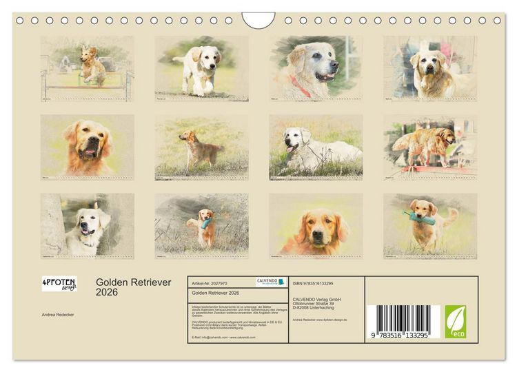Produktbild: Golden Retriever 2026 (Wandkalender 2026 DIN A4 quer), CALVENDO Monatskalender