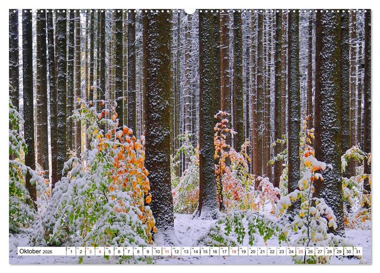 Produktbild: B&auml;ume sind Tr&auml;ume (hochwertiger Premium Wandkalender 2026 DIN A2 quer), Kunstdruck in Hochglanz