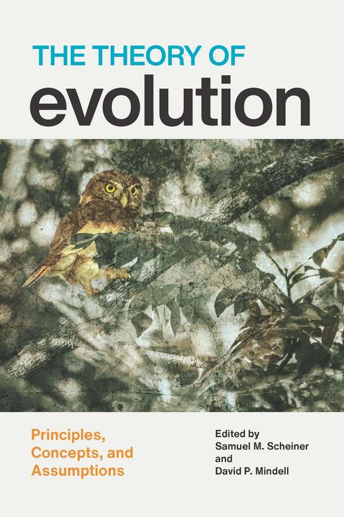 Produktbild: Theory of Evolution