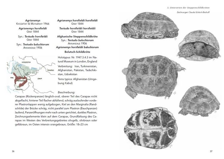 Produktbild: Die Haltung der Steppenschildkr&ouml;ten Agrionemys horsfieldii