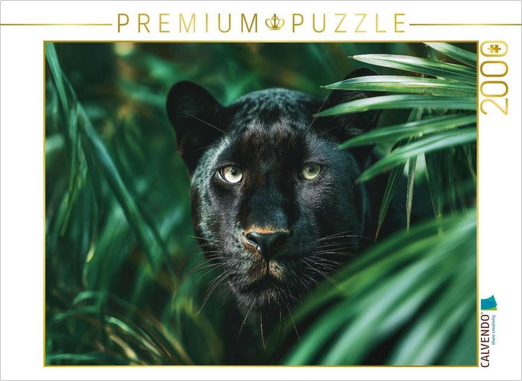 Produktbild: CALVENDO Puzzle Schwarzer Panther, die Nacht hat Augen | 2000 Teile Lege-Gr&ouml;&szlig;e 90x67cm Foto-Puzzle f&uuml;r gl&uuml;ckliche Stunden