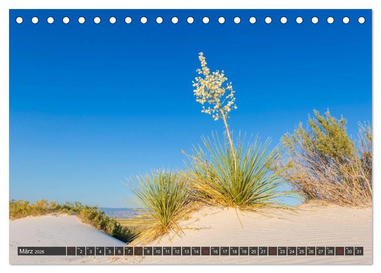 Produktbild: WHITE SANDS Die wei&szlig;e W&uuml;ste in New Mexico (Tischkalender 2026 DIN A5 quer), CALVENDO Monatskalender