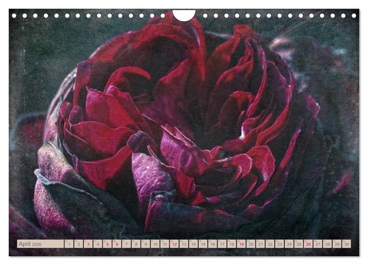 Produktbild: Rosenduft Shabby Chic Style (Wandkalender 2026 DIN A4 quer), CALVENDO Monatskalender