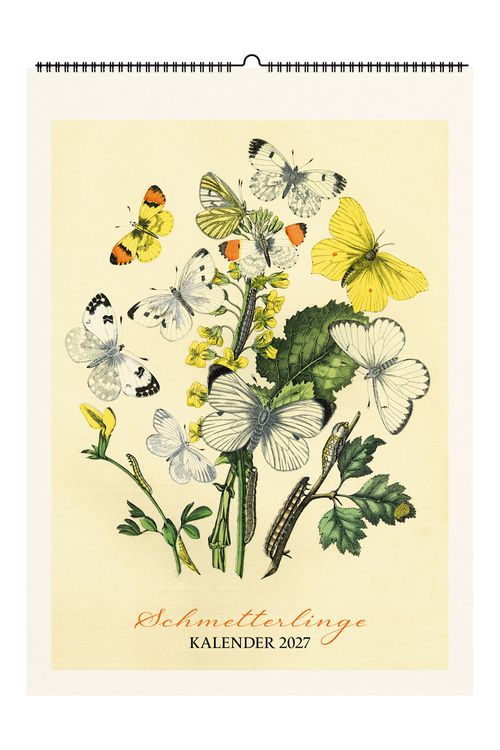 Produktbild: Schmetterlinge. Wandkalender 2027