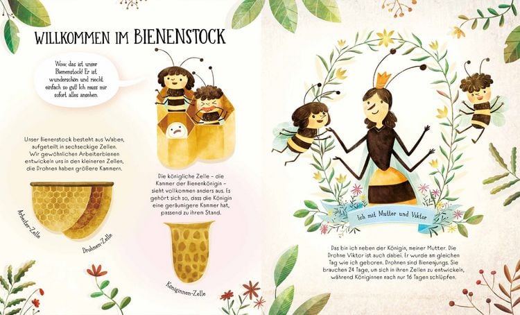 Produktbild: Wie Bienen leben. Matilda erz&auml;hlt.