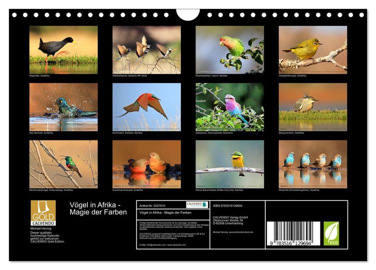 Produktbild: V&ouml;gel in Afrika - Magie der Farben (Wandkalender 2026 DIN A4 quer), CALVENDO Monatskalender