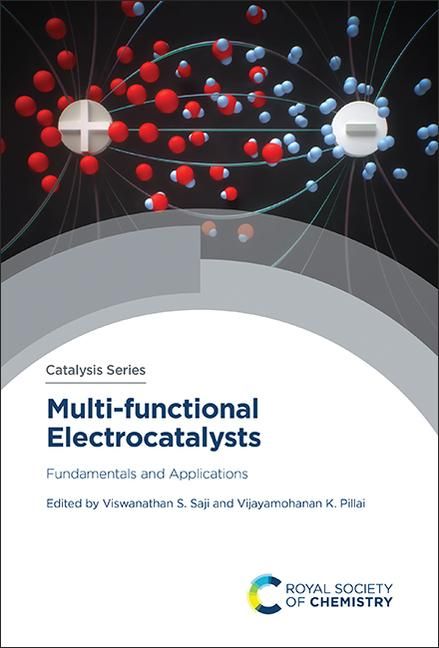 Produktbild: Multi-Functional Electrocatalysts