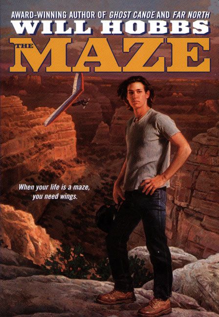 Produktbild: The Maze