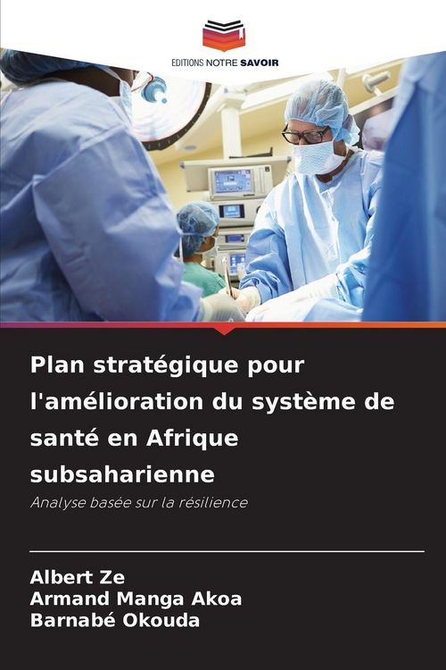 Produktbild: Plan strat&eacute;gique pour l'am&eacute;lioration du syst&egrave;me de sant&eacute; en Afrique subsaharienne