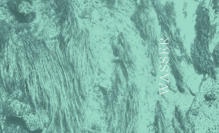 Produktbild: Wilder Wald