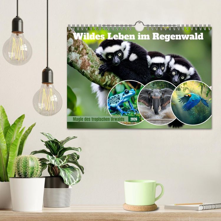 Produktbild: Wildes Leben im Regenwald (Wandkalender 2026 DIN A4 quer), CALVENDO Monatskalender