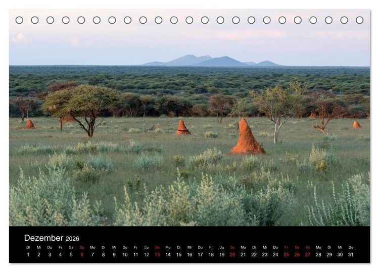 Produktbild: Lichterf&uuml;lltes Namibia (Tischkalender 2026 DIN A5 quer), CALVENDO Monatskalender