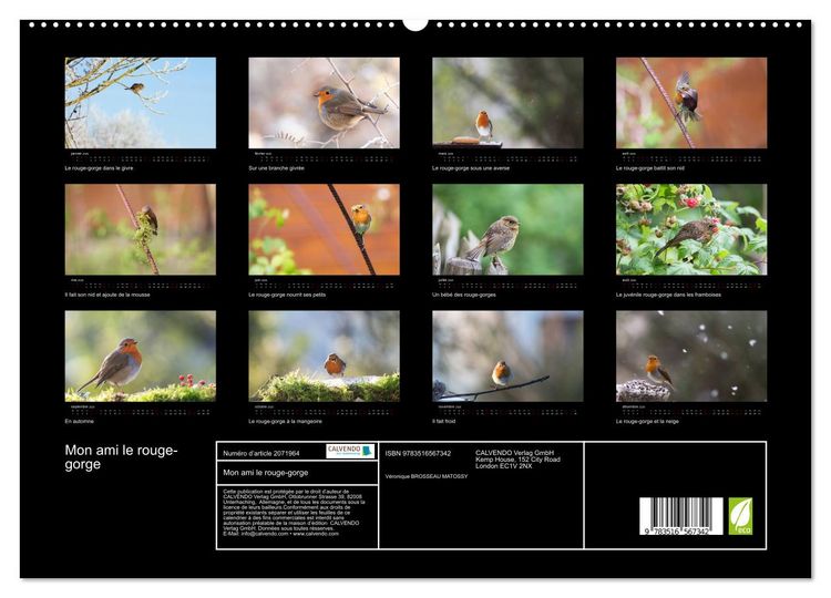 Produktbild: Mon ami le rouge-gorge (Calendrier mural 2026 DIN A2 vertical) calendrier de bureau