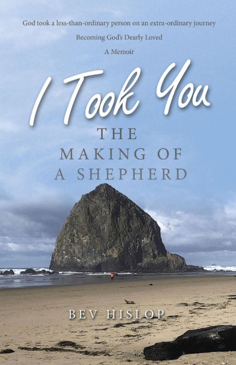 Produktbild: I Took You
