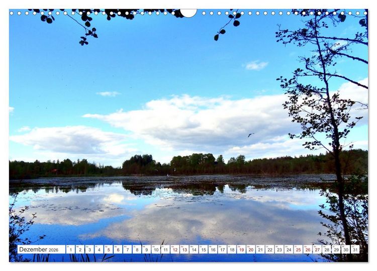 Produktbild: Gr&uuml;nes Estland - Naturparadies am Baltischen Meer (Wandkalender 2026 DIN A3 quer), CALVENDO Monatskalender