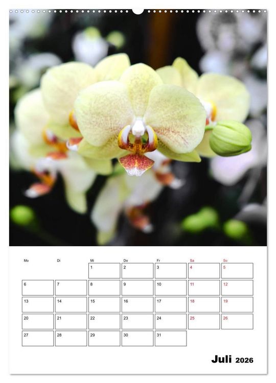 Produktbild: Orchideen - Tropische Sch&ouml;nheiten (Wandkalender 2026 DIN A2 hoch), CALVENDO Monatskalender