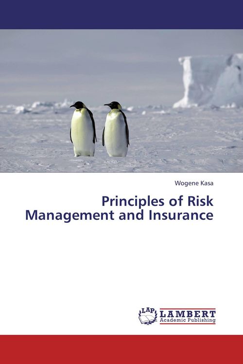 Produktbild: Principles of Risk Management and Insurance