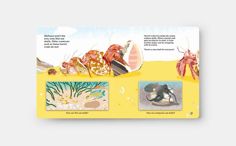 Produktbild: Shells... and what they hide inside