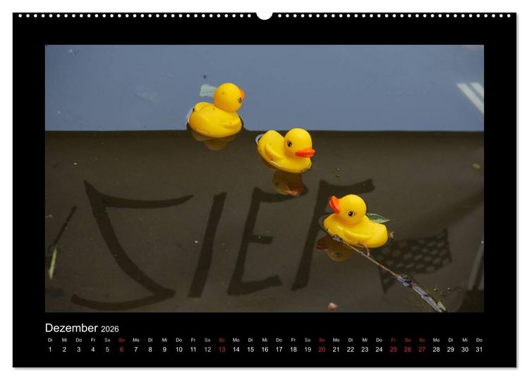 Produktbild: Enten-Rennen (hochwertiger Premium Wandkalender 2026 DIN A2 quer), Kunstdruck in Hochglanz